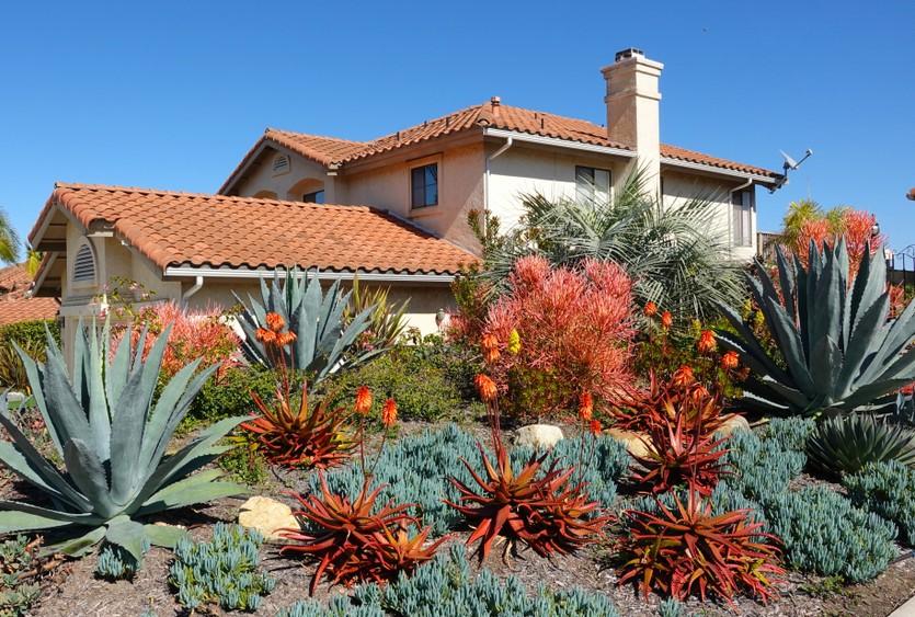 A Mediterranean-style house with a red tile roof and a landscaped yard featuring large agave plants and flowering succulents.